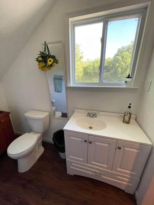 Eden Farm: Private Studio Minutes From Salisbury Extérieur photo